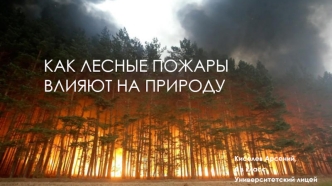Как лесные пожары влияют на природу