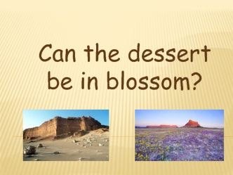 Can the dessert be in blossom?