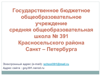 Государственное бюджетное общеобразовательное учреждение средняя общеобразовательная школа № 391Красносельского района Санкт – Петербурга