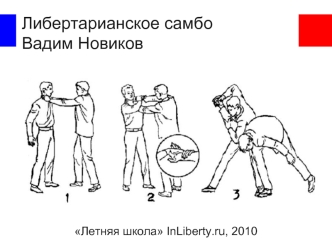 Либертарианское самбо
Вадим Новиков