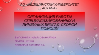 Организация работы специализированных и линейных бригад скорой помощи