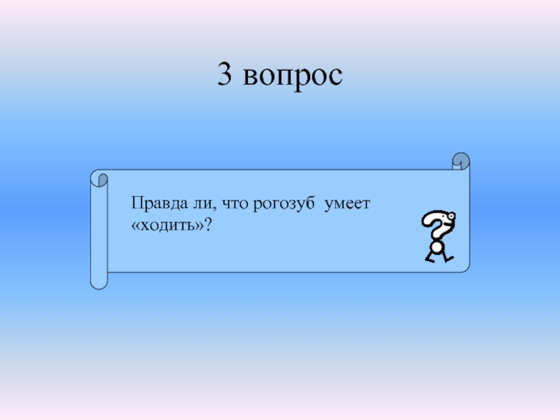 Правда вопросы. Вопросы для правды. Вопросы для действия. Вопросы для правды и действия. Вопросы для правды другу.