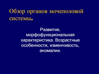 Обзор органов мочеполовой системы