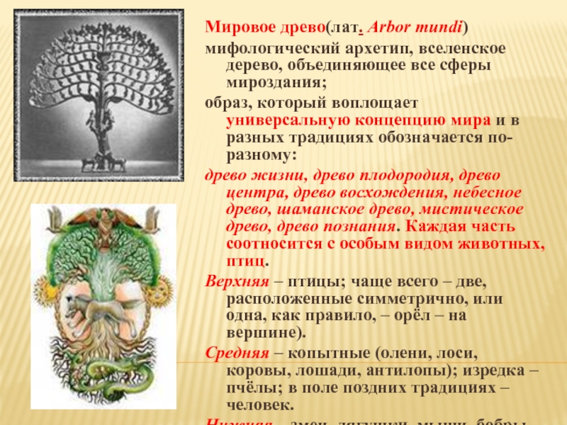 Что значит древа. Мировое Древо. Образ мирового древа. Мифологический образ мирового древа. Древо жизни мировое дерево.