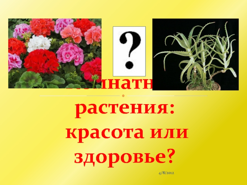 Как комнатные растения влияют на здоровье человека проект