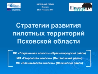 Стратегии развития пилотных территорий Псковской области