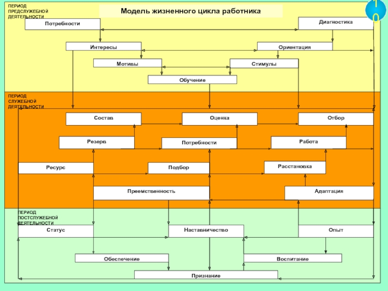 Периоды служебной деятельности. Карьерный цикл работника. Карьерный цикл сотрудника. Жизненный цикл сотрудника.