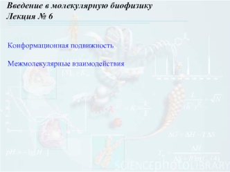 Введение в молекулярную биофизику
Лекция № 6