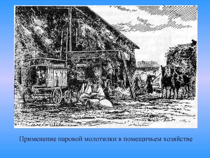 Помещичье хозяйство. Молотилка 19 века. Сельское хозяйство Германия 19 век. Первая паровая молотилка 19 века. Применение паровой молотилки в помещичьем хозяйстве Германии.