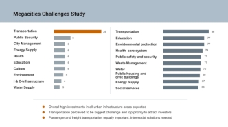 Megacities challeneg studi