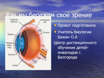 Как мы бережем свое зрение