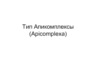 Тип Апикомплексы
