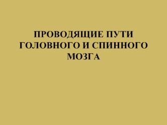 Проводящие пути головного и спинного мозга