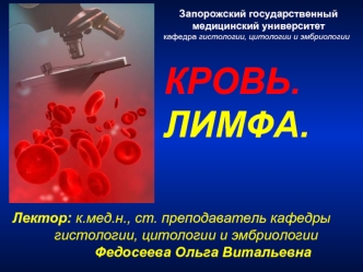 Кровь: общая характеристика, функции
