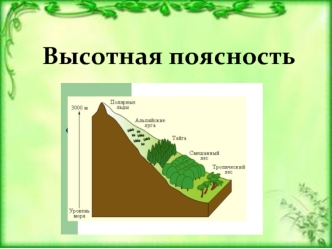 Высотная поясность