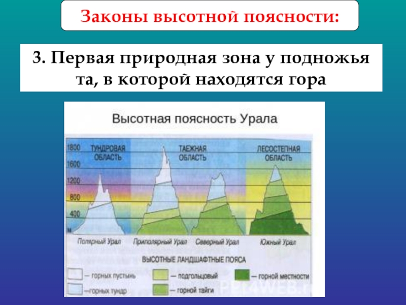 Природные зоны гор алтая таблица. Схема ВЫСОТНОЙ поясности в горах. Высотная поясность Евразии таблица 7 класс география. Природные зоны на Урале ВЫСОТНОЙ поясности. Высотная поясность крымских гор 8 класс.