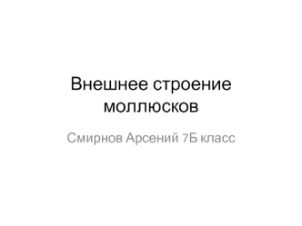 Внешнее строение моллюсков