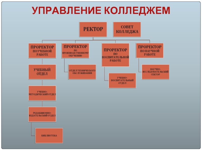 УПРАВЛЕНИЕ КОЛЛЕДЖЕМ