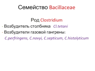 Семейство Bacillaceae. Морфология