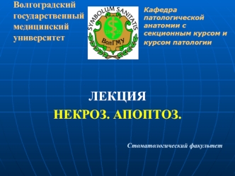 Некроз. Апоптоз. Механизмы развития и морфология некроза. Схема развития апоптоза