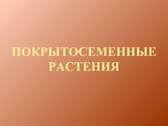 Покрытосеменные растения