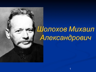 Шолохов Михаил Александрович