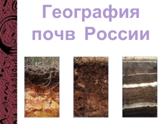 География почв России