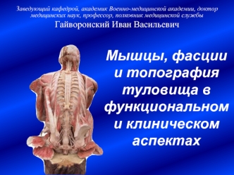 Мышцы, фасции и топография туловища в функциональном и клиническом аспектах