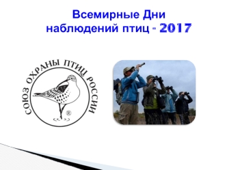 Всемирные Дни наблюдений птиц - 2017