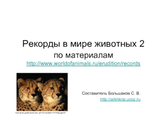 Рекорды в мире животных 2по материалам http://www.worldofanimals.ru/erudition/records