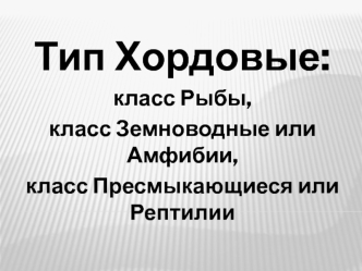 Тип Хордовые: класс Рыбы, класс Земноводные или Амфибии, класс Пресмыкающиеся или Рептилии