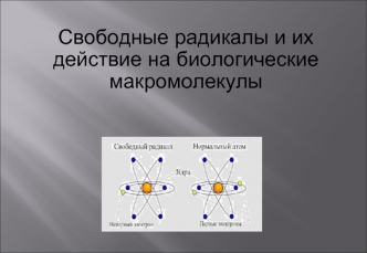 Свободные радикалы и их действие на биологические макромолекулы