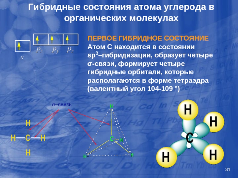 Состояния атома углерода в органических соединениях. Атом углерода в sp3-гибридном состоянии. Гибридное состояние атомов. SP гибридный атом углерода. Атомы углерода в состоянии sp3 гибридизации.