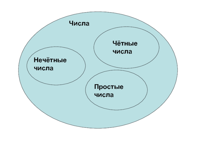 4 элемента множество. Ромашка это элемент множества.