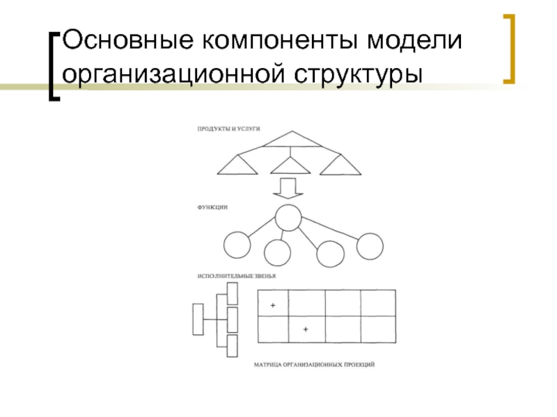 Модель компонентов. Модель организационной структуры. Модель оргструктуры. Компоненты модели. Основные элементы модели.