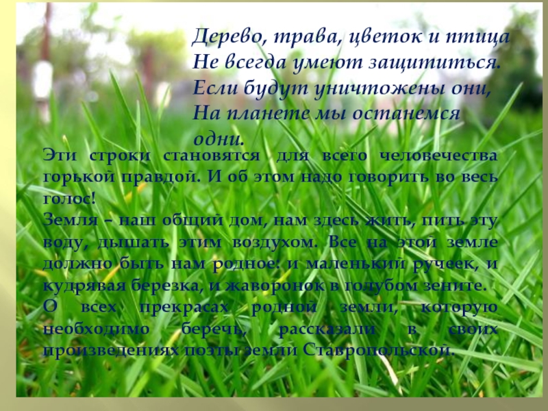 Травы Ставропольского Края Фото