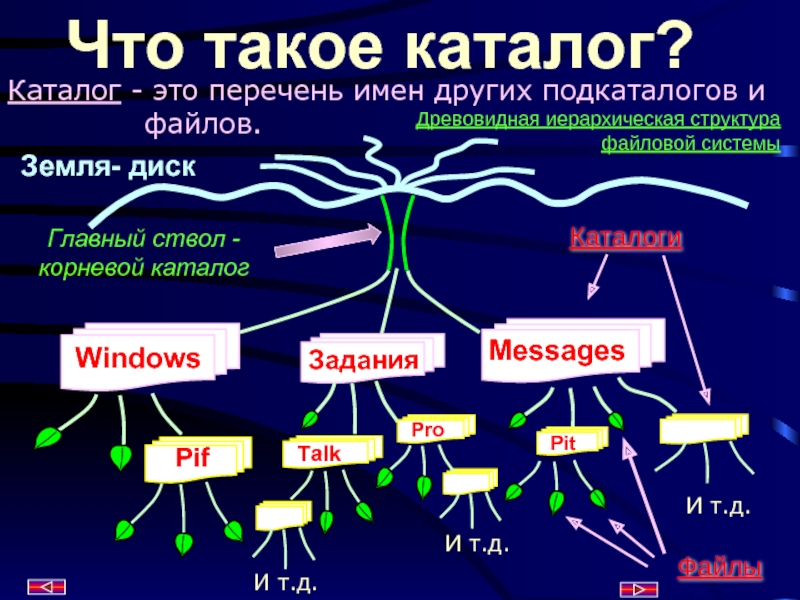 Корневой каталог это