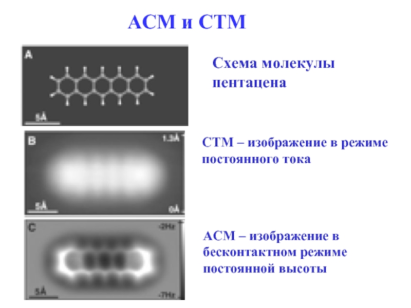 Асм изображения это