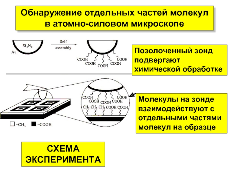 Схема обработки многоразовых зондов