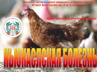 Ньюкаслская болезнь (псевдочума)