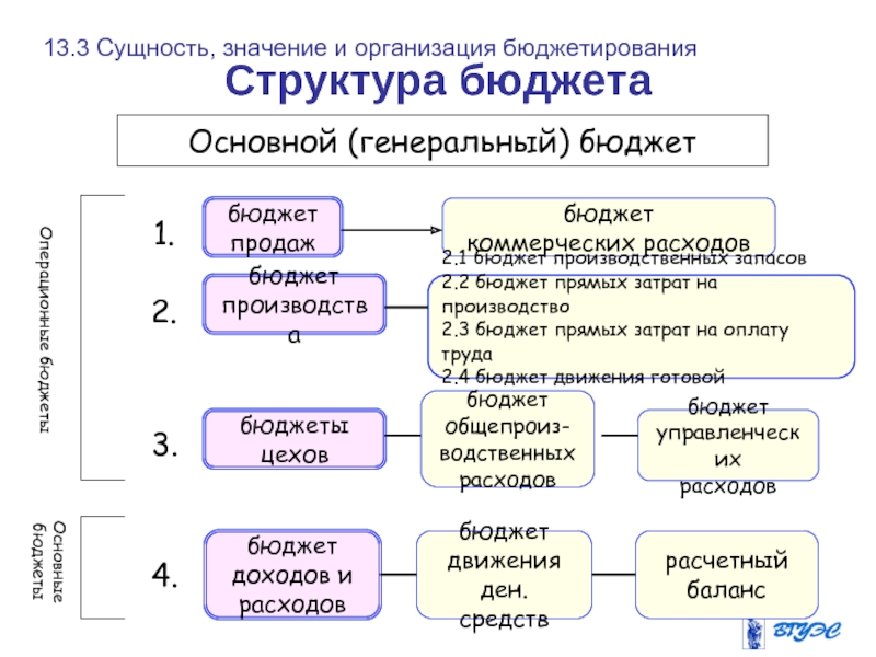 Структура бюджетной организации