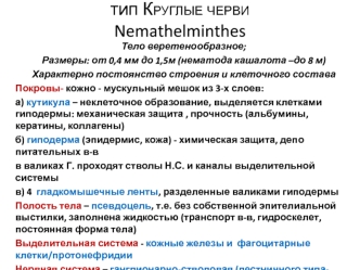 Тип Круглые черви