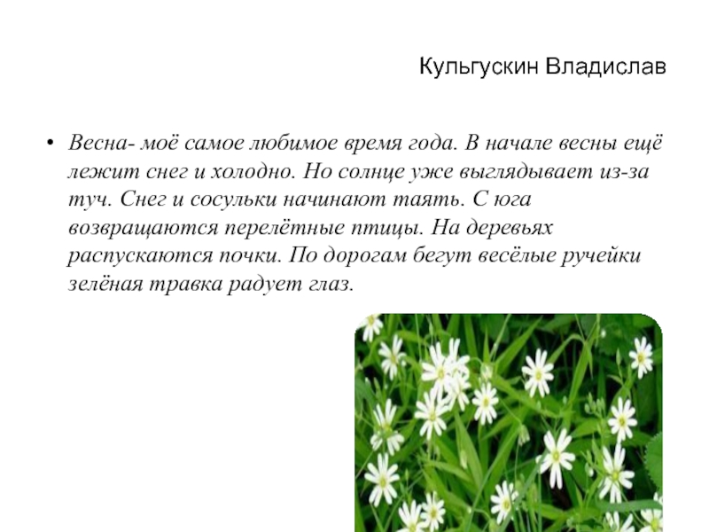 Правда ли что весна лучшее время года сочинение 6 класс с планом кратко