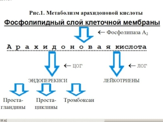 Лихорадочные реакции