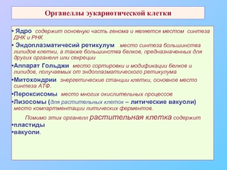 Органеллы эукариотической клетки