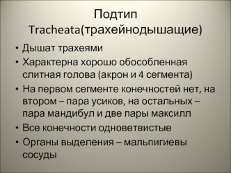 Подтип Tracheata (трахейнодышащие)