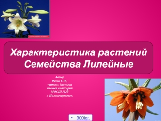 Семейство лилейных