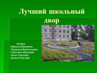 Лучший школьный      двор