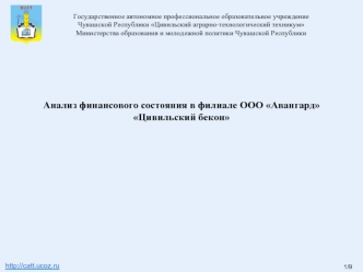 Анализ финансового состояния в филиале ООО Авангард Цивильский бекон