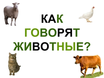 КАК                                ГОВОРЯТ ЖИВОТНЫЕ?